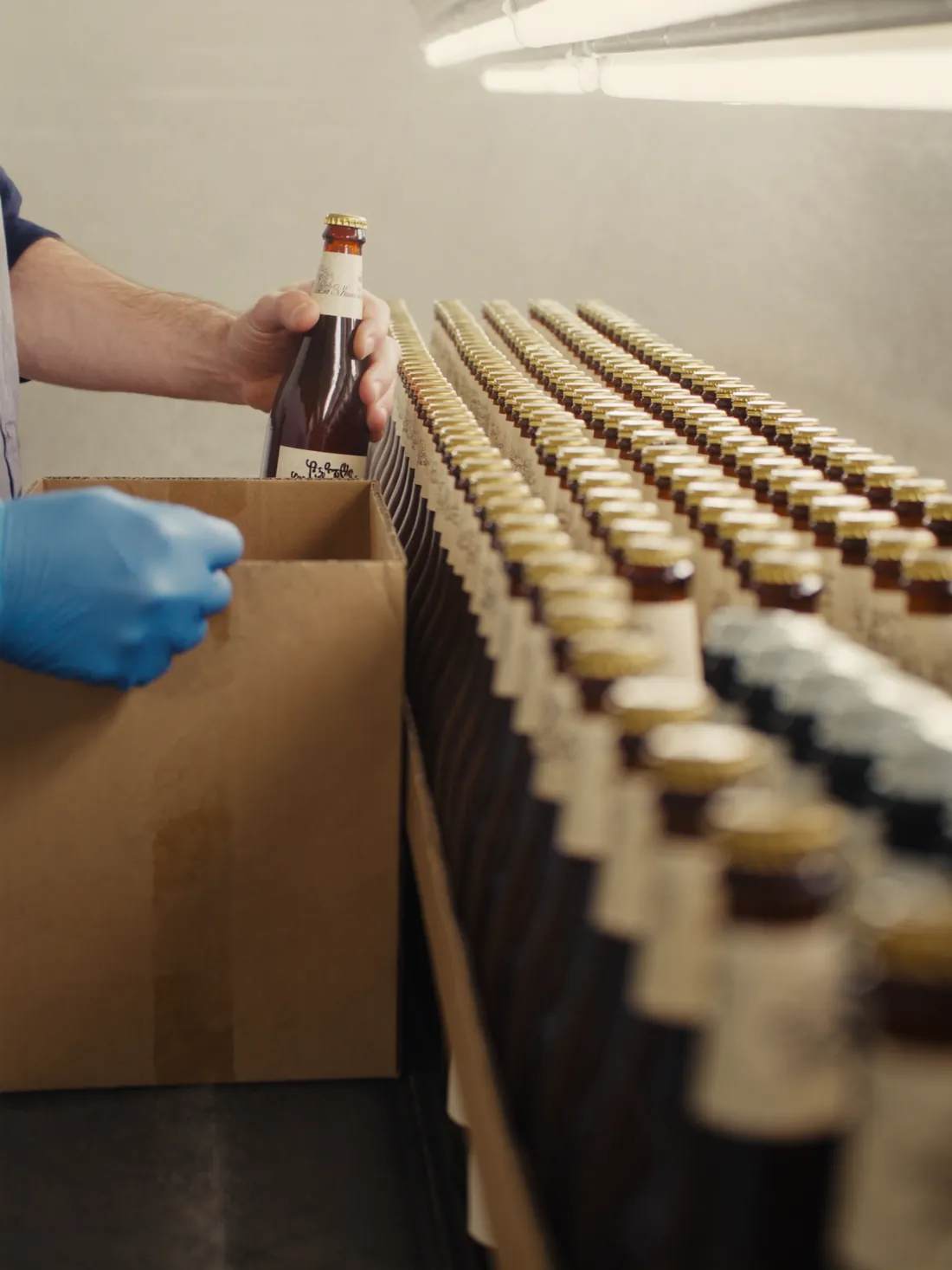 A gloved hand packing a finished bottle into a case